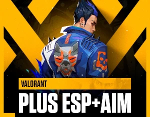 🎮 Valorant Plus ESP + Aimbot [KEYS]