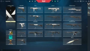 Conta Beta Valorant Nfa