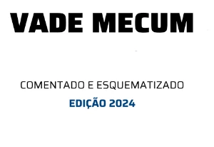 Ebook Vade Mecum Esquematizado - Outros