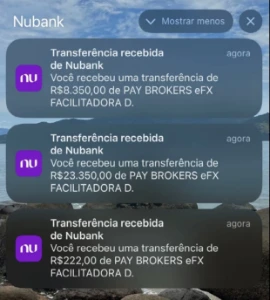 Nubank Fake - Outros