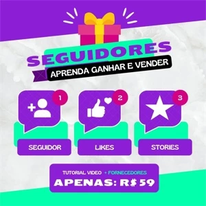 Seguidores Redes Sociais