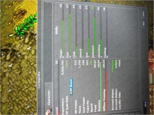 RP 82 Gentebra + MS + EK com 50 dias de Premium - Tibia