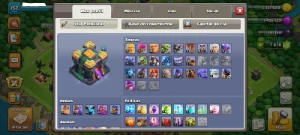Cv14 - Heróis Muito Fortes - 7878 Gemas - 11 Equip. Épicos - Clash of Clans