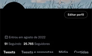 Twitter account 25k de follow - Redes Sociais