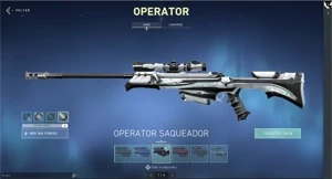 Conta Valorant Beta +1200 Reais investidos