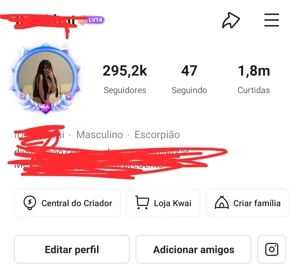 Conta do Kwai com 295k de seguidores - Outros