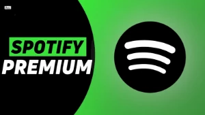 Spotify Premium 2 Meses (leia a descrição) - Assinaturas e Premium