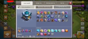 Cv 13 Bem Upado Com 6 Construtor E Varias Skins De Heroi - Clash of Clans