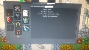 Knight 200 + Paladin Lvl + + Druid lvl 8 Skill High - Tibia