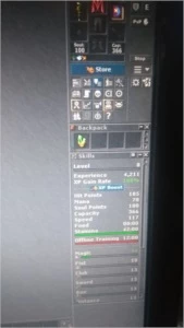 Knight 200 + Paladin Lvl + + Druid lvl 8 Skill High - Tibia
