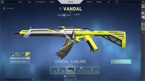Conta valorant 800+ gastos e lol 500+ gastos ( vinculadas )