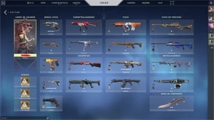 Conta valorant 800+ gastos e lol 500+ gastos ( vinculadas )