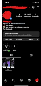 INSTAGRAM, CONTA DE INSTAGRAM COM+12,4 SEGUIDORES (ENGAJADA) - Redes Sociais