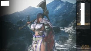 Guardian 62 com pot HP infinita - Black Desert
