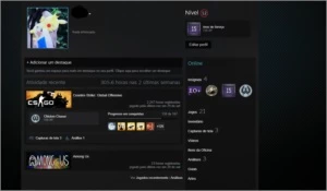 CONTA STEAM TOP 15 ANOS COM CS:GO PRIME + PUBG