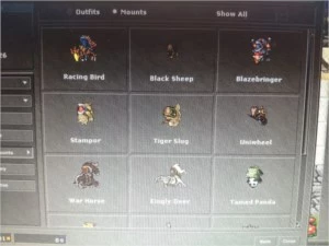 Druid Level 226 (Bona) + 2 Knight's - 146 e 131 + charmaker - Tibia