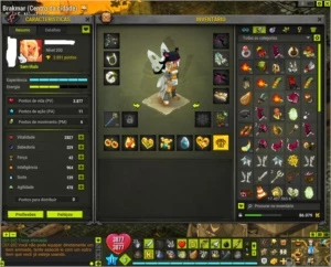Vendo team 8 contas no DOFUS, server Spiritia, equipadas
