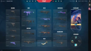 Conta Valorant Vandal Oni, Phantom Oni, Karambit Sublime, FA