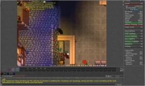 Paladin lvl 96 skill excelente *promoção* - Tibia