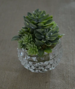 Arranjo com Suculenta - Vasinho de vidro - Artesanato e Personalizados
