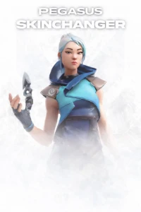 🚀🔥 Skinchanger Premium + 🎯✨ Aimcolor  🎮