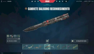 Conta De Valorant Com + De Mil Reais Gastos