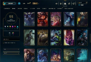Conta Unranked com 100 e 55 Skins ( MID / ADC / SUP ) - League of Legends LOL