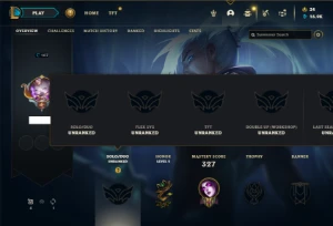 Unranked com 135 Champs e 282 Skins +  6 Vitoriosas ( SUP ) - League of Legends LOL