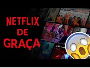 Netflix - Assinaturas e Premium