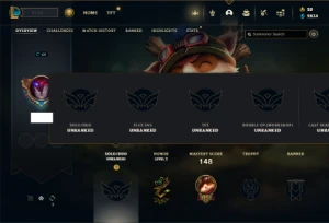 Unranked com 55 Champs e 12 Skins - League of Legends LOL