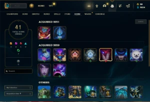 Unranked com 55 Champs e 12 Skins - League of Legends LOL