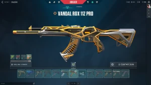 conta valorant muita skin