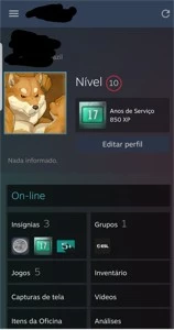 Conta Steam 17 anos com medalha 5 e 10 anos. - Counter Strike CS