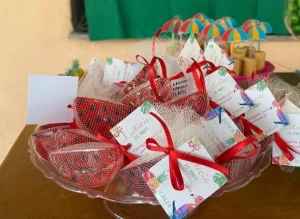 Fatia de Melancia P - Artesanato e Personalizados