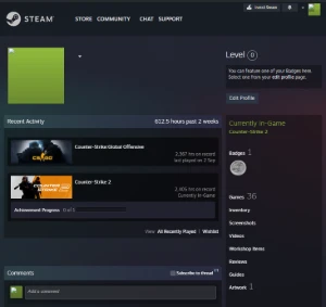 Cs2 | 2.405+ Horas (Sem Prime) | Medalha/Moeda De 5 Anos - Counter Strike
