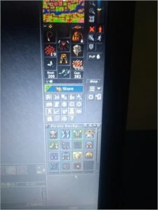 Royal palladin lvl 255 p.a 150 dias - Tibia