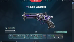 Conta valorant com varias skins vandal champions