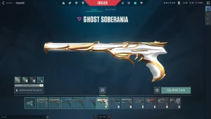 Conta valorant com varias skins vandal champions