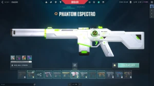 Conta valorant com varias skins vandal champions