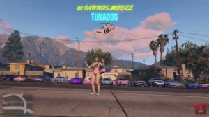 20 Carros Modzz na sua conta GTA 5 online