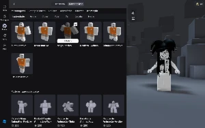 conta roblox unisex( tem mais skins femininas)