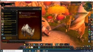Conta BatlleNet (inclui shadowlands Com Varias Mount Da Tcg) - Blizzard