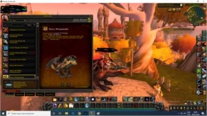 Conta BatlleNet (inclui shadowlands Com Varias Mount Da Tcg) - Blizzard