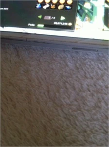 40 mk dofus touch Brutus