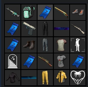 CONTA PUBG LEVEL 500, ALERQUINA, m4 hallowen lv 1, mini lv 1