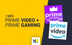 Prime Vídeo - Tela Privada  - Mensal - Assinaturas e Premium