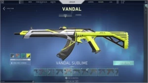 CONTA VALORANT BETA + IMORTAL 1 + MUITAS SKINS