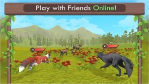 Wildcraft Gemas - Outros