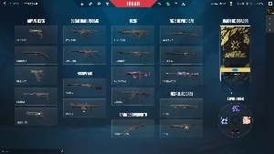 Conta Valorant Full Acesso! Com Skins Phantom E Operator