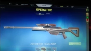 Conta valorant RADIANTE,muitas skins!